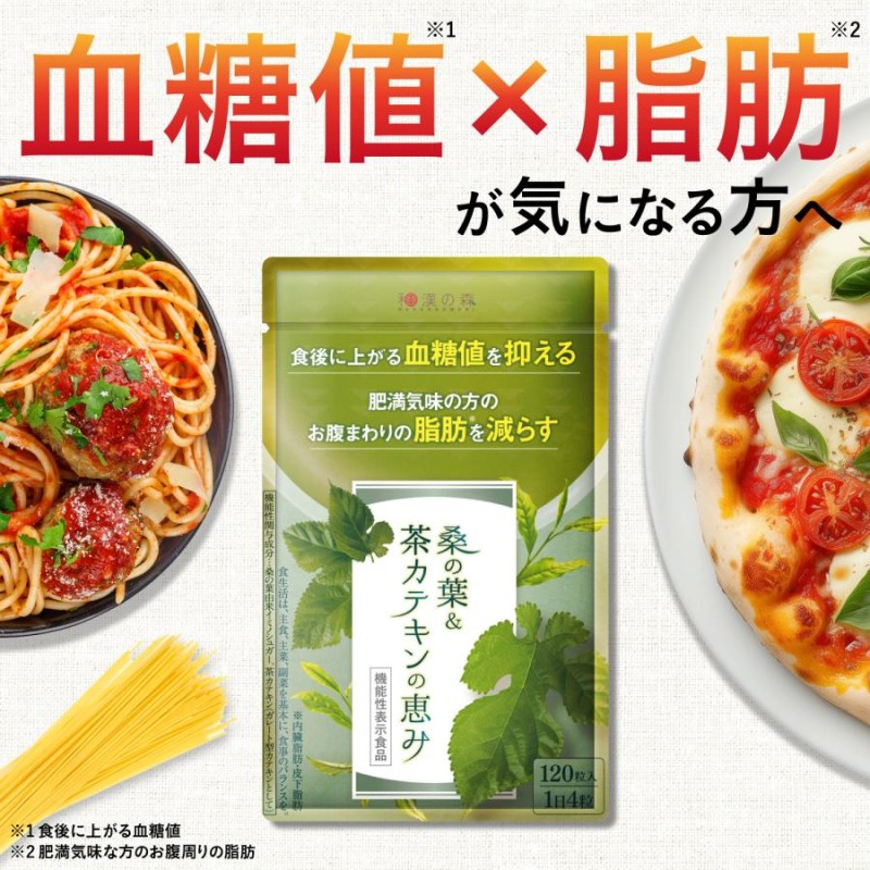 桑の葉&茶カテキンの恵 120粒入り 4袋 【公式通販】