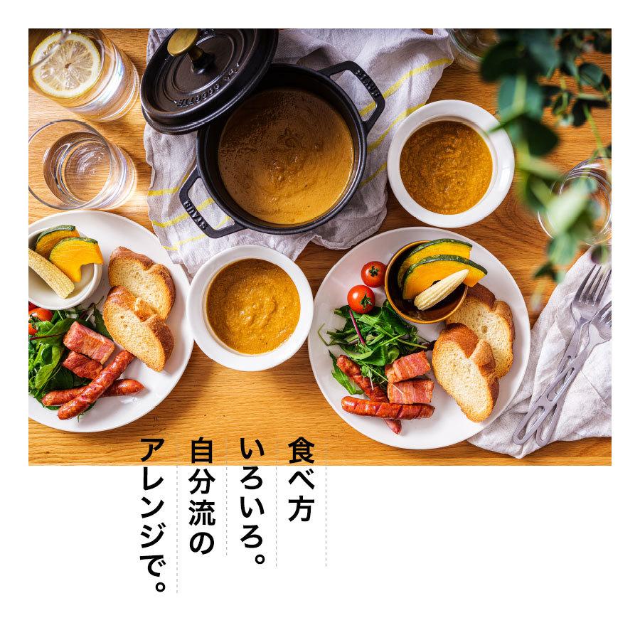 ごと 五島の鯛で出汁をとったなんにでもあうカレー 5種セット(プレーン・チキン・ビーフ・チーズ・ポーク) 福さ屋 辛子明太子