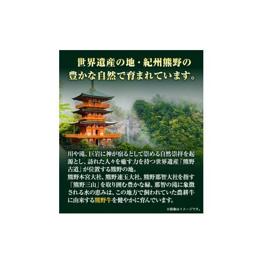 ふるさと納税 和歌山県 日高川町 熊野牛 ロースステーキ 200g×2枚  厳選館《90日以内に順次出荷(土日祝除く)》 和歌山県 日高川町 …