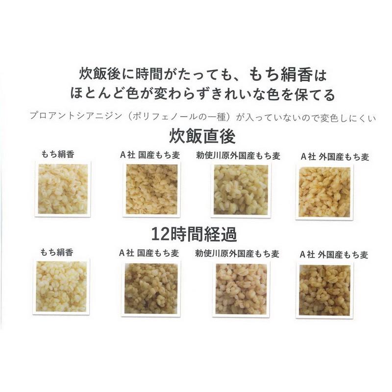 栃木県産もち麦 もち絹香 500ｇ 食物繊維たっぷり冷めても美味しい国産100%のもち麦!炊飯後に変色しにくく、大麦特有の臭い控えめ、もち麦の欠点を大きく改善