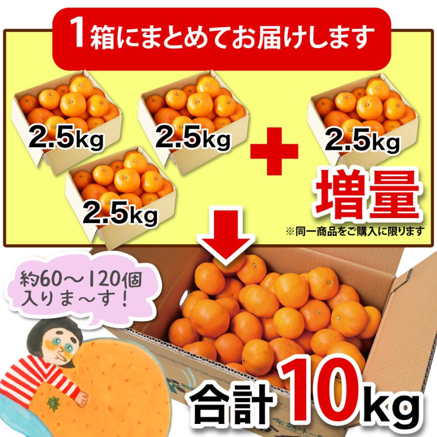 みかん 訳あり 2.5kg 2箱買うと送料無料 3箱買うと1箱分増量 極早生 有田みかん 家庭用 果物 フルーツ 和歌山産 お歳暮