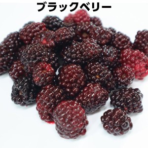 ブラックベリー　冷凍フルーツ250g　無添加　無着色　業務用 製菓　ケーキ　パイ　ジャム blackberry