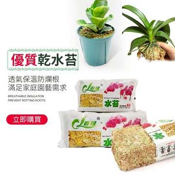 乾水苔 鹿角蕨介質 蘭花介質 智利水苔 觀葉介質 苔球植物 蘭科植物 高壓繁殖 蘭花透氣土壤
