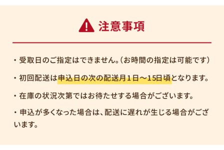 こだわりの五島ハヤシ5箱セット 化学調味料・着色料不使用 創作郷土料理いつき 五島産 牛肉 野菜五島市 出口さんご[PBK017]