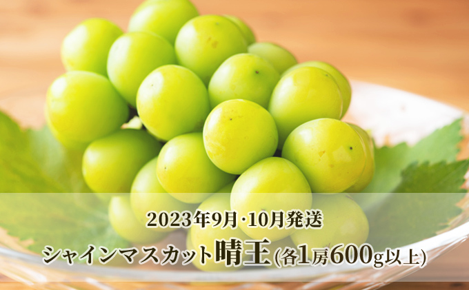 ぶどう 2024年 先行予約 3回お届け！  晴れの国 岡山の シャイン マスカット  晴王 ×3回！（各1房） 葡萄  岡山県産 国産 フルーツ 果物 ギフト