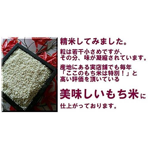 令和4年 熊本県産 もち米 ひよくもち 白米 5kg