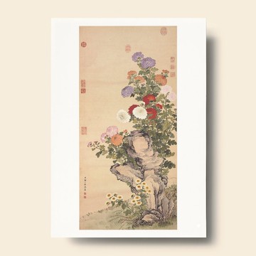 【藝術畫卡】鄒一桂 畫菊 | B4畫卡