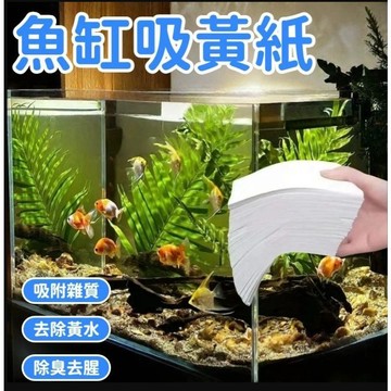 隔日達🚀魚缸吸色片 快速去黃水 除臭去腥 水族吸色防染片 色素吸附濾水紙 去綠水 還原空氣缸 水質淨化神器 魚缸吸色布