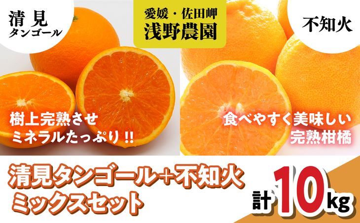 清見オレンジ＋不知火ミックスセット計10kg｜ 愛媛県産 伊方町特産品 佐田岬 浅野農園 完熟柑橘 清見ゴールド 不知火 糖度ビタミンたっぷり ※離島への配送不可 ※着日指定不可