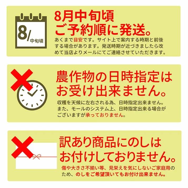  桃 訳あり 白桃 3kg 8〜15玉前後 山形県産 お徳用 ご家庭用 わけあり もも 同梱不可 品種お任せ 送料無料 クール便発送