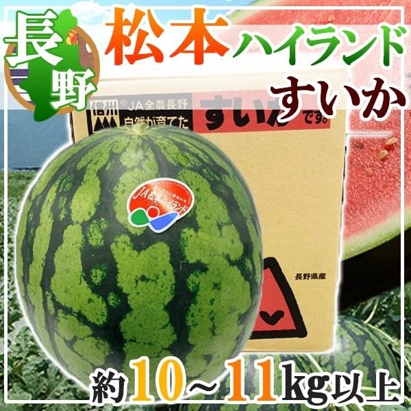 長野県産　松本ハイランドすいか　1玉　5L　約10〜11kg