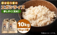 令和5年産 新米 がばいうまかエガシライス 夢しずく 玄米 10kg 5kg×2袋  [HAU005]