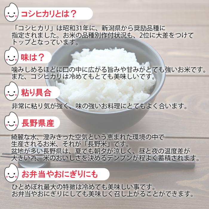 こしひかり 5kg 令和4年産 米 お米 白米 おこめ 精米 単一原料米 ブランド米 5キロ 送料無料 国内産 国産