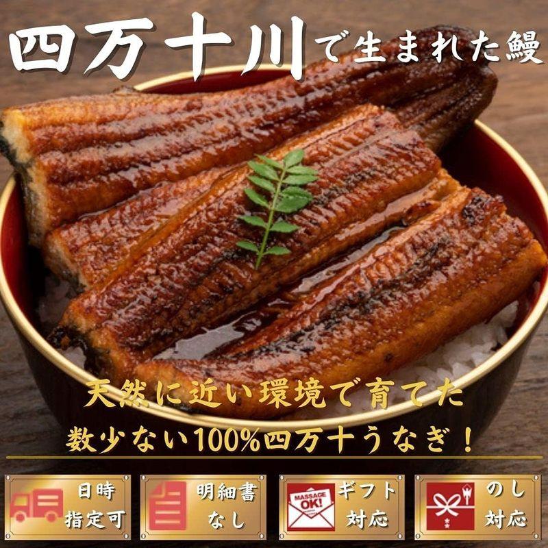 四万十川産 うなぎ 蒲焼き 無投薬 約150g×1尾 池澤鮮魚 誕生日 国産 (贈答用ギフト包装)