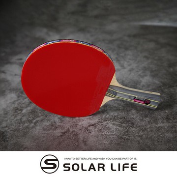 蝴蝶牌 BUTTERFLY 桌球拍負手板NAKAMA S-10 乒乓球刀板