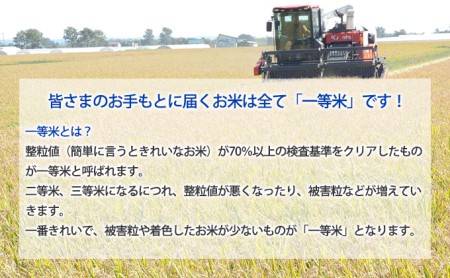 北海道 定期便 12ヵ月連続12回 令和5年産 ななつぼし 4.5kg×4袋 特A 精米 米 白米 ご飯 お米 ごはん 国産 ブランド米 おにぎり ふっくら 常温 お取り寄せ 産地直送 送料無料