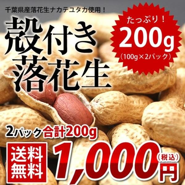 2023年 落花生 ナカテユタカ 千葉県産 殻付き200g（100g×2） お試し品 送料無料 ピーナッツ おつまみ ALL￥1000 ゆうパケット