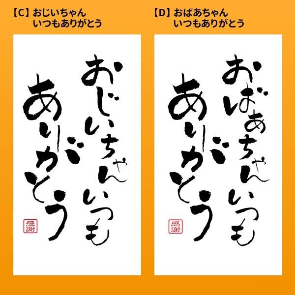 敬老の日 プレゼント お試し ポイント消化 送料無料 ギフト お米 広島県産 コシヒカリ 300g（2合） 健康 米   ※ゆうパケット配送のため日時指定不可