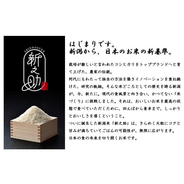 令和5年産 新米 2023年度産 米 新潟県産 新之助 5K 白米 (精米済) 代引不可 同梱不可