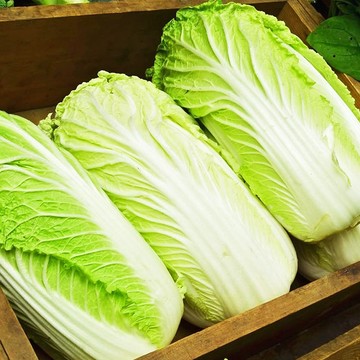 台灣產 山東大白菜 切片 300g/包 | 已清洗 煮熟後再食用【海產教父】