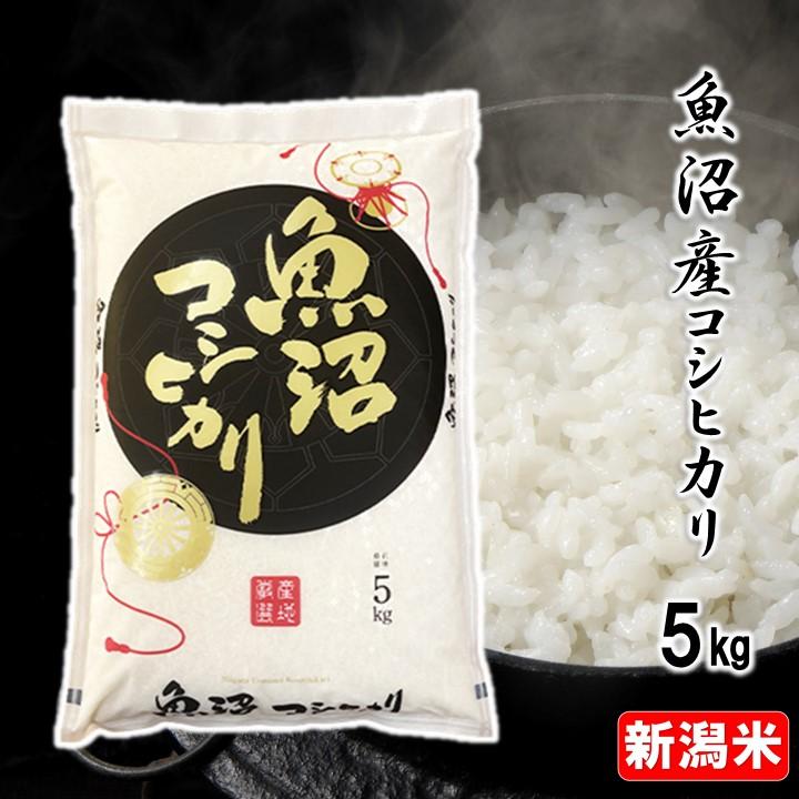 お歳暮 御歳暮 新米 令和5年産 米 5kg 魚沼コシヒカリ  特Aランク 新潟県産 お米 5キロ 白米 魚沼産 こしひかり ギフト プレゼント