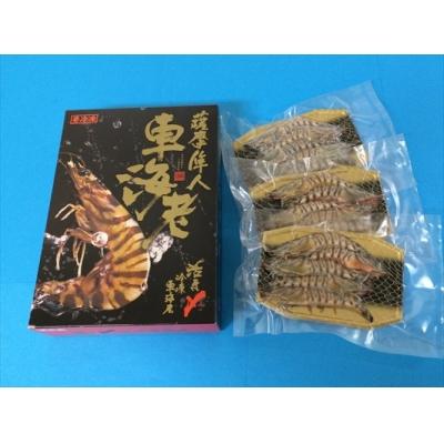 ふるさと納税 霧島市 活き〆冷凍車海老「薩摩隼人車海老」約125g(4〜6尾入)×3パック　B-014