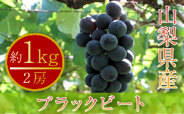 ブラックビート 2房 約1kg 山梨県産 数量限定（PJ）B-168