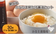 卵 鶏卵 たまご 新鮮 30個 たまごかけ醤油セット