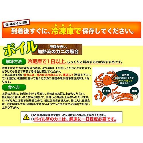 笑顔の食卓 匠｜ボイル タラバガニ｜特大7Lボイルたらばがに肩脚1肩(約1.3kg)