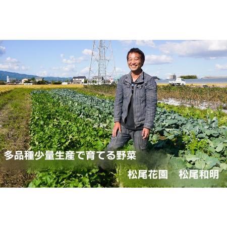 ふるさと納税 CC001_かずちゃんの朝採り新鮮野菜セット 佐賀県みやき町