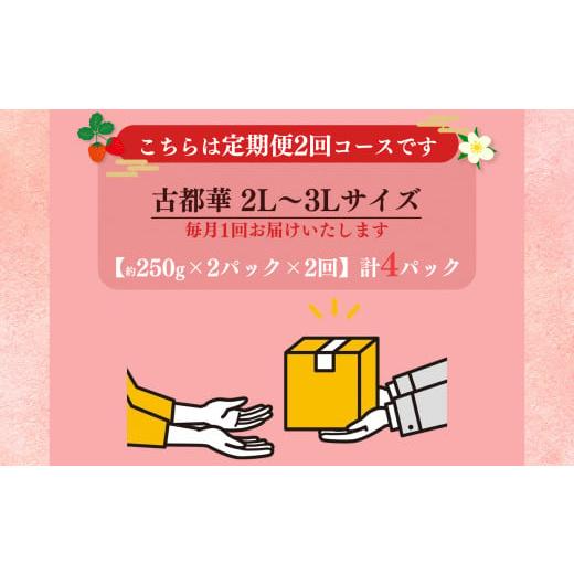 ふるさと納税 奈良県 平群町 いちご 平群の古都華 2L 〜 3L サイズ （2パック×2回）計4パック 扇田農園