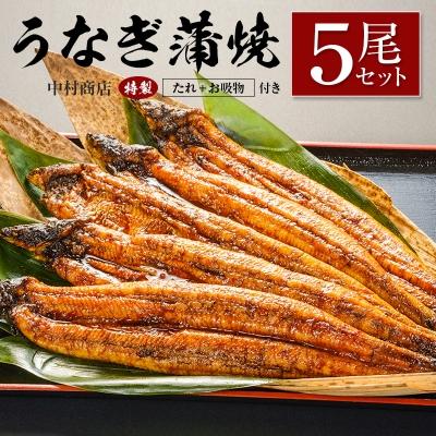 ふるさと納税 宮崎県 ◆中村商店　うなぎ蒲焼5尾セット