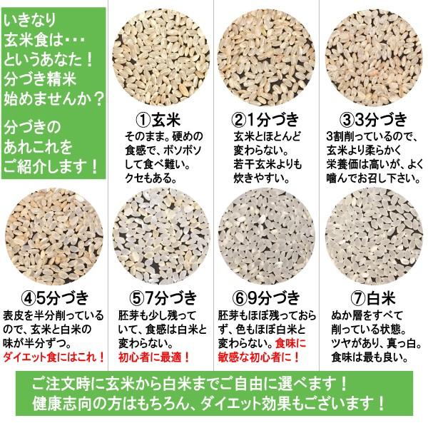 新米 10kg 送料無料 滋賀県 有機コシヒカリ 1等玄米 クーポンでさらにお得