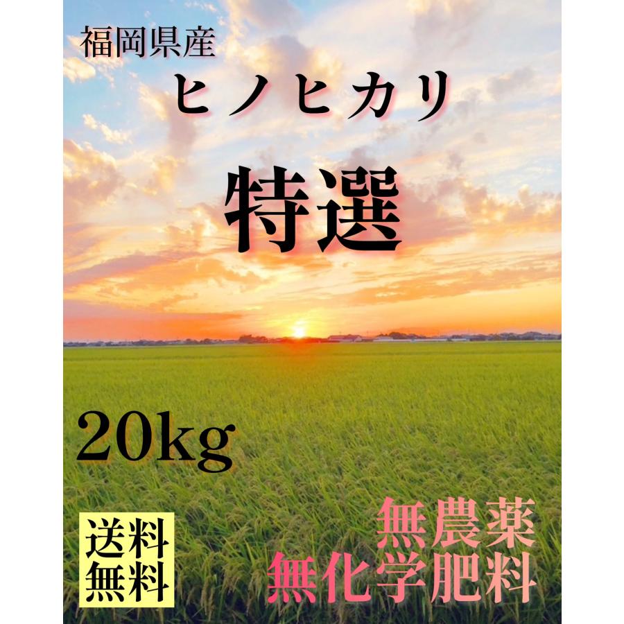 特選　無農薬玄米　20キロ　20kg　福岡県産　ヒノヒカリ　令和５年産　送料無料