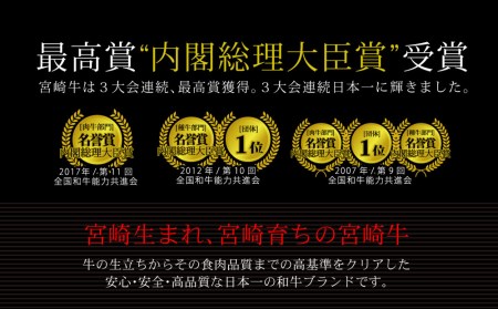 ＜宮崎牛＞赤身スライス 300g ※90日以内発送