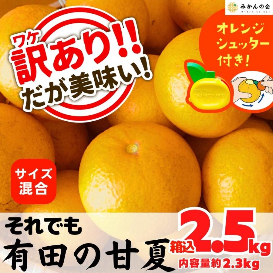 訳あり それでも 甘夏 箱込 2.5kg 内容量約 2.3kg サイズミックス 和歌山県 産地直送  