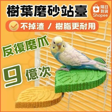 🔥隔日到貨🔥鸚鵡磨砂站台 鸚鵡玩具 鳥籠 鸚鵡磨爪棒 鸚鵡磨牙棒 鸚鵡站棍 小太陽牡丹玄鳳 鳥籠用品 鸚鵡鳥籠 鳥籠站杆