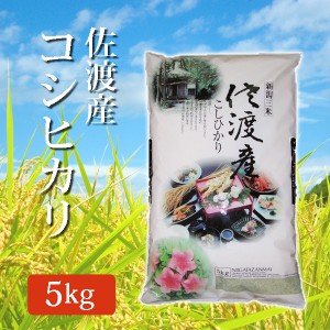 令和5年産 新米 新潟県 佐渡産コシヒカリ 5kg (5キロ) 精米済 2023年度産 精米 こしひかり 米 白米 産地直送 国産 ご飯 食品 佐渡産 米