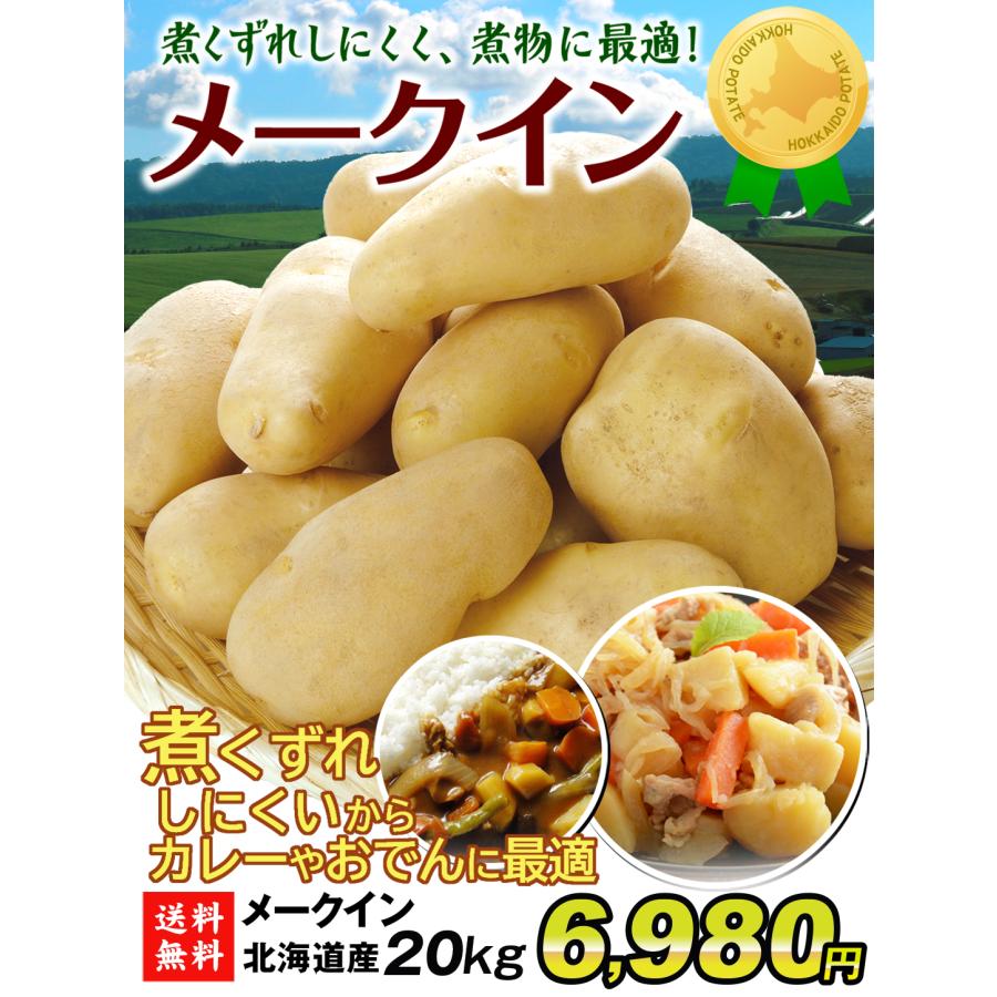 じゃがいも 20kg（10kg×2箱） 北海道産 メークイン（M〜L）送料無料 芋 野菜 食品 国華園