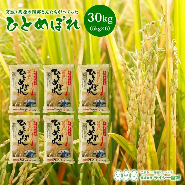 新米 ひとめぼれ 米 30kg 令和5年産 5kgx6袋 お米 宮城県産 白米 送料無料 精白米 産地直送