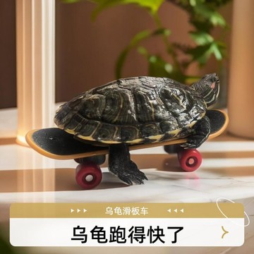 百貨研究所⚡️烏龜滑板車大號逗烏龜神器給烏龜玩的玩具解悶跑步機寵物創意玩具🎉