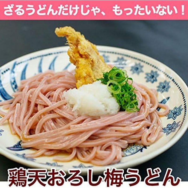 ふみこ農園 ご家庭用 大盛り冷し梅うどん 麺、めんつゆ、梅干240gが付いて10食分セット