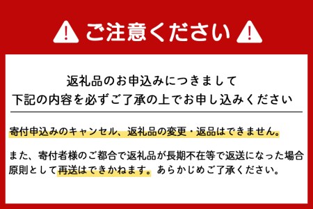 2024年夏発送 キリン一番搾り 500ｍl 12缶＆白いとうもろこしピュアホワイト14本