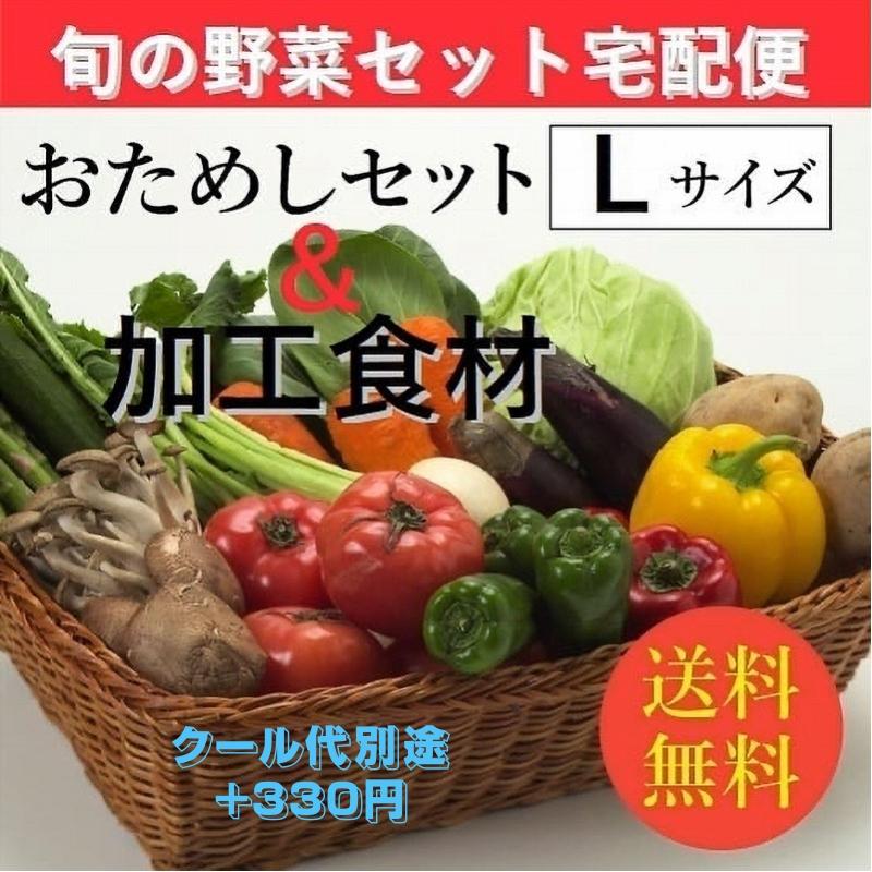 食品 お試し旬の野菜＆加工食材：詰合せセット Lセット（９〜１２種類）３〜５人向き 宅配サービス 送料無料