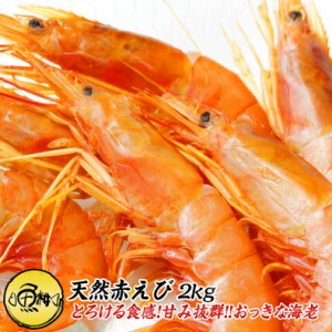 有頭生赤エビ2kg  新鮮船上凍結だから刺身でも焼きでも風味バツグン！アルゼンチン産天然赤えび バーベキューにも！