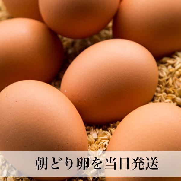 朝どり卵 60個入 Lサイズ タマゴ 福岡産 送料無料