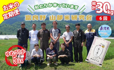 ◆6ヵ月定期便◆ 富良野 山部米研究会無洗米 5kg