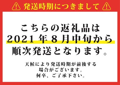 〈2024年度配送分〉 山梨県産 特選シャインマスカット 1房（600g）