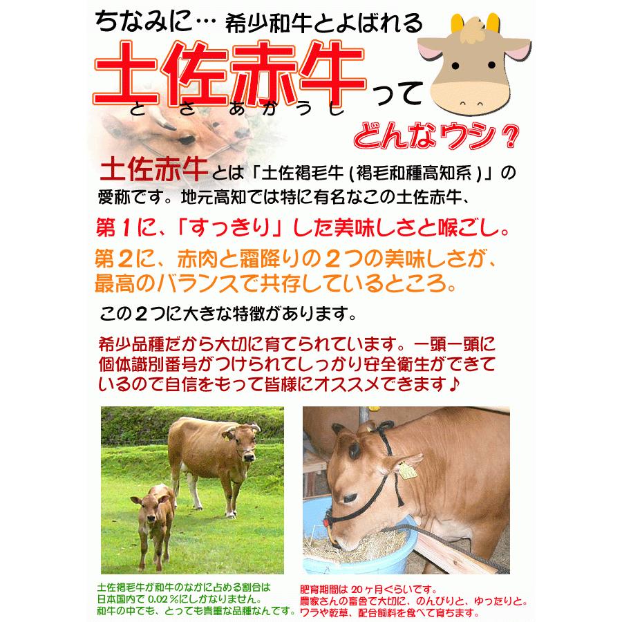 土佐あかうし 土佐和牛 ロースすき焼 ギフトセット 400g wagyu 土佐赤牛 和牛 牛肉 しゃぶしゃぶ 高級 ギフト プレゼント 産地直送 お歳暮