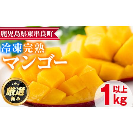 ふるさと納税 《数量限定》鹿児島県産！南国の恵み！まるごと冷凍完熟マンゴー約1kg(2-3個) 鹿児島県東串良町